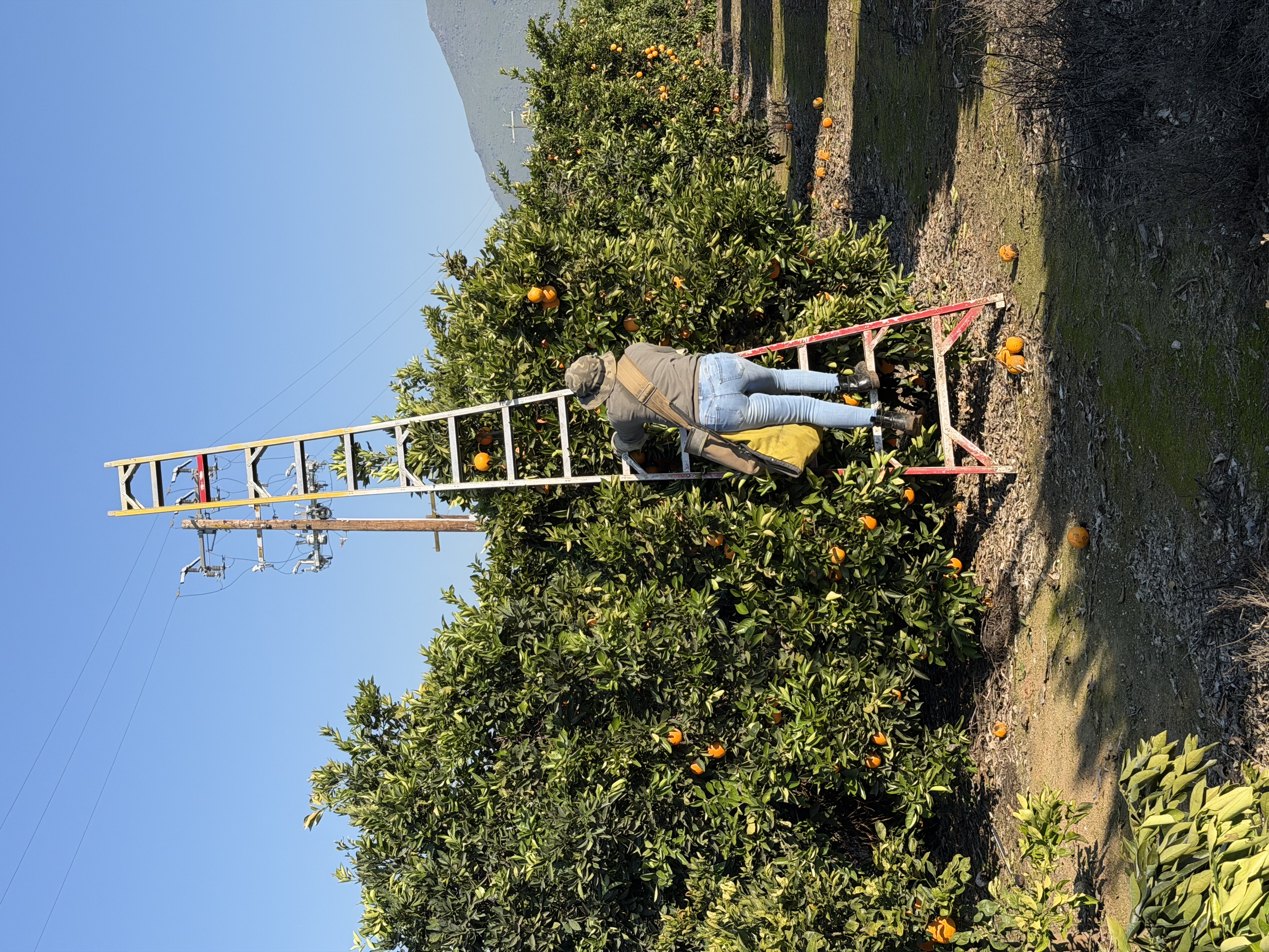 Grove work platform