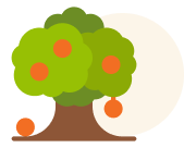 Orange trees growing on a farm