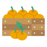 Freshly harvested oranges
